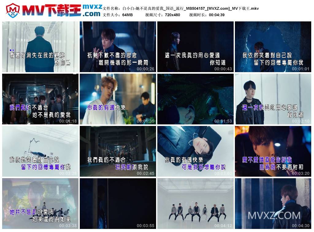 白小白-她不是真的爱我_国语_流行_MB504157